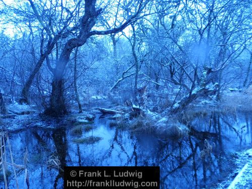 Winter at Doorly Park